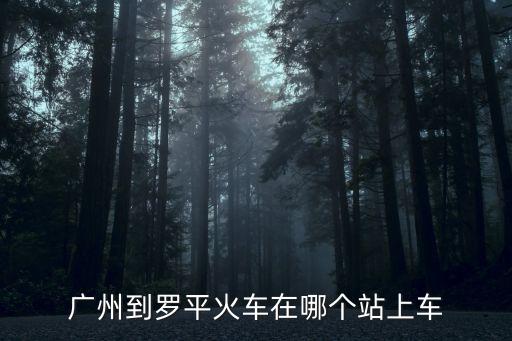 廣州到羅平火車在哪個站上車
