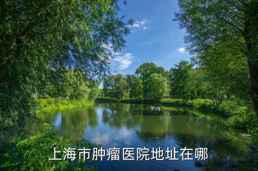 上海市腫瘤醫院在什么地址，上海腫瘤醫院地址