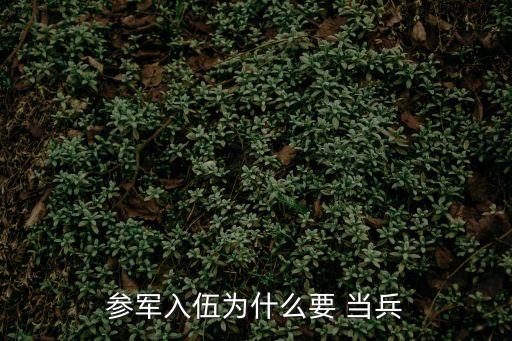 為什么要當兵