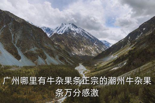 廣州哪里有牛雜果條正宗的潮州牛雜果條萬分感激