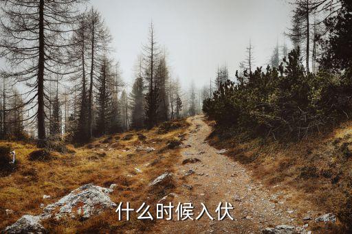 三伏天從什么時候開始,2023年三伏天從什么時候開始