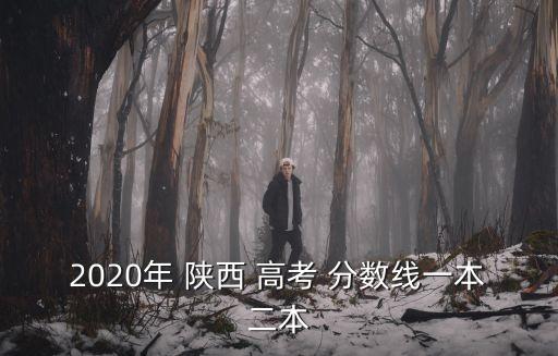 2020年 陜西 高考 分數線一本二本