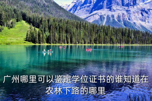廣州哪里可以鑒定學位證書的誰知道在農林下路的哪里