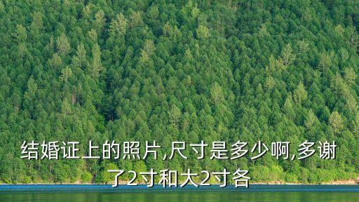 合影照片,怎么把單獨(dú)照片變成合照?