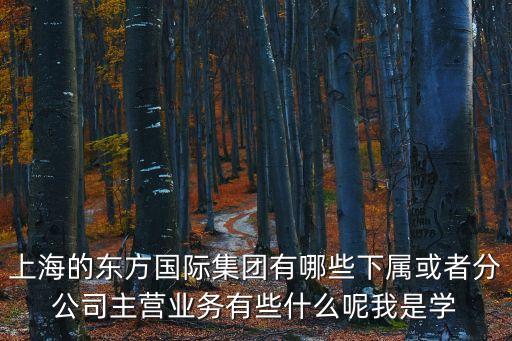 上海的東方國際集團(tuán)有哪些下屬或者分公司主營業(yè)務(wù)有些什么呢我是學(xué)