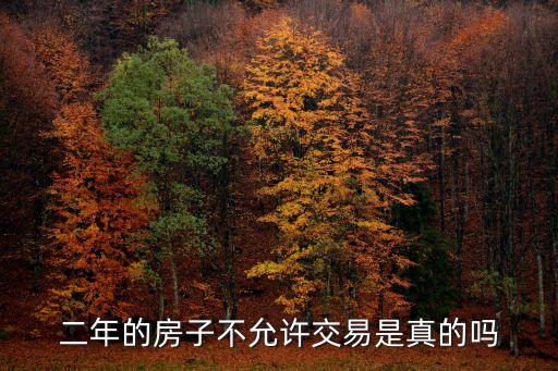 廣州房子兩年內不讓賣，廣州房子限制交易二年三年司法拍賣二次過戶怎么辦不能過那不等