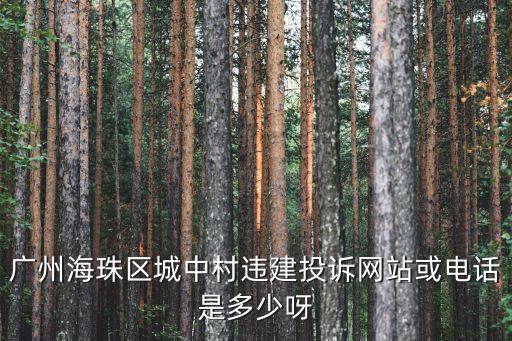 廣州城中村違建投訴，廣州市違章建筑舉報(bào)電話