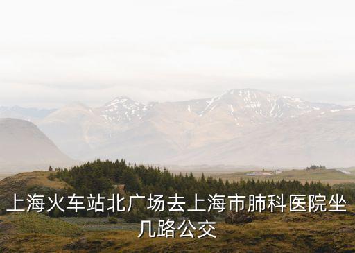 上海火車站北廣場去上海市肺科醫院坐幾路公交