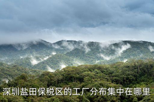 深圳鹽田保稅區的工廠分布集中在哪里