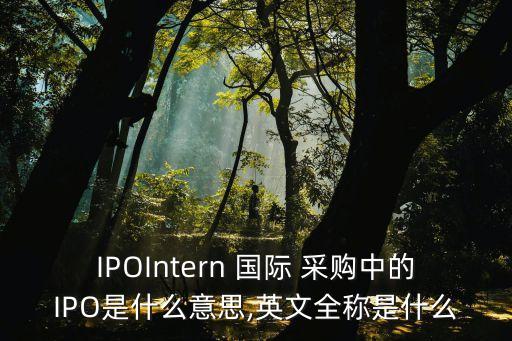 國際采購