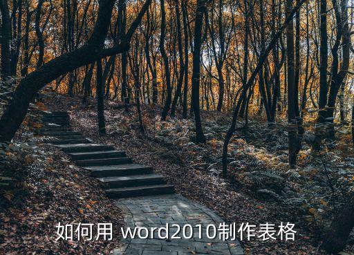 word制表