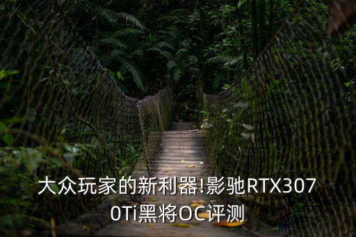 黑將