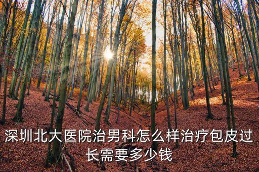 深圳北大醫院怎么加號，深圳北大醫院網上怎么樣掛號