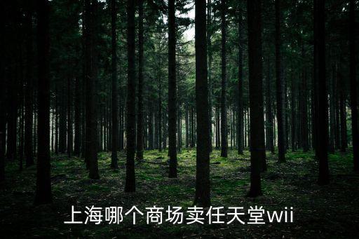 上海市任天堂游戲機專賣實體店，上海哪有任天堂的游戲機賣