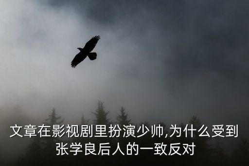 文章在影視劇里扮演少帥,為什么受到 張學(xué)良后人的一致反對