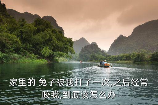 家里的 兔子被我打了一次,之后經常咬我,到底該怎么辦