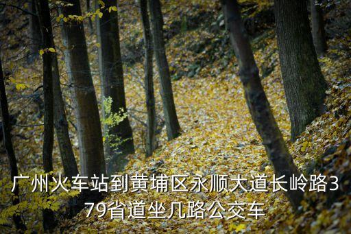 廣州火車站到黃埔區(qū)永順大道長(zhǎng)嶺路379省道坐幾路公交車