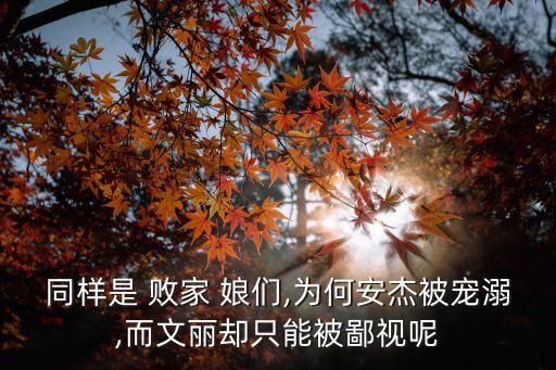 同樣是 敗家 娘們,為何安杰被寵溺,而文麗卻只能被鄙視呢