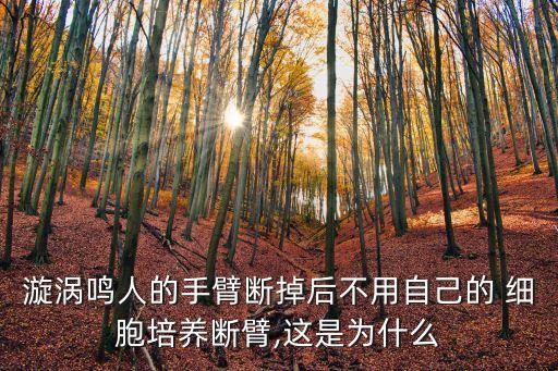 柱間細胞,團藏為什么有柱間細胞