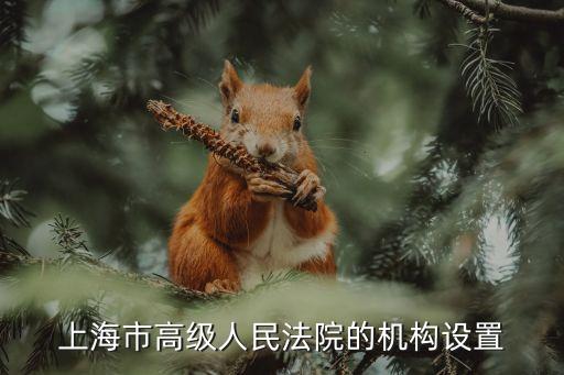 上海市高級法院曉云，在上海發(fā)生交通事故原告已起訴是大眾出租公司被告全責其