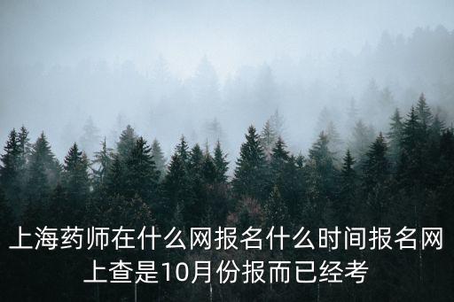 上海市臨床藥師網，2012年上海執業藥師考試網查詢成績入口