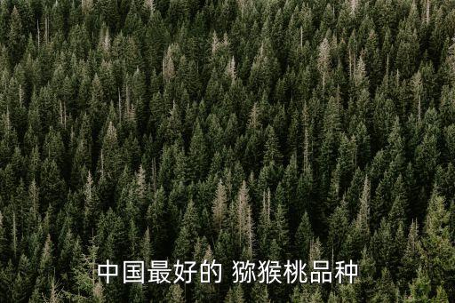 哪種獼猴桃最好吃,獼猴桃最好的品種是什么?紅心獼猴果最好