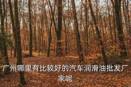 廣州哪里有比較好的汽車潤滑油批發廠家呢