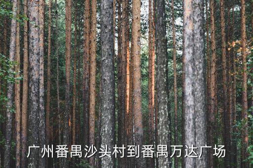 番禺沙頭村到廣州南，廣州番禺沙頭村到番禺萬達廣場