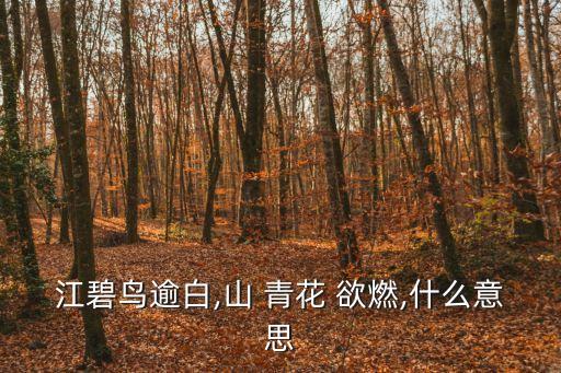 山青花欲燃,山青花欲燃四字意:燃燒的意思