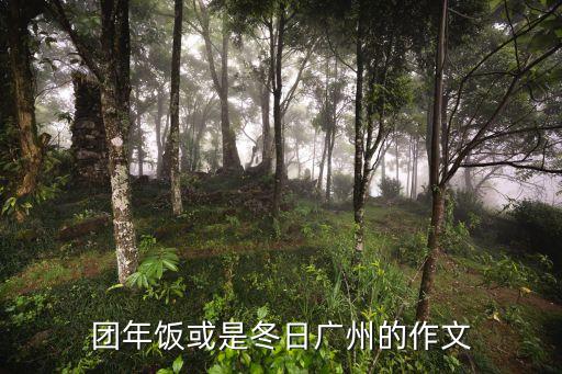 廣州的年夜飯作文，團年飯或是冬日廣州的作文