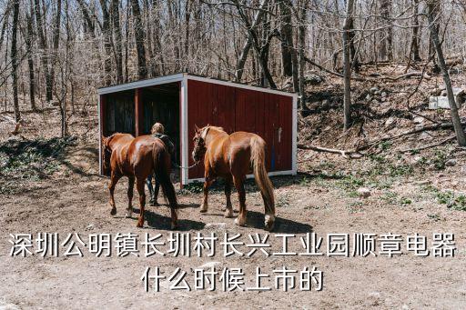 深圳光明陳發權，深圳光明外來勞務工感情糾紛