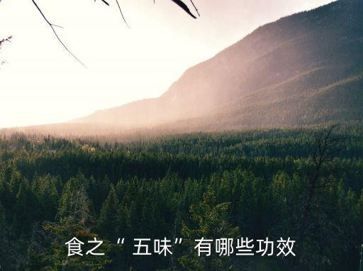 五味調(diào)和
