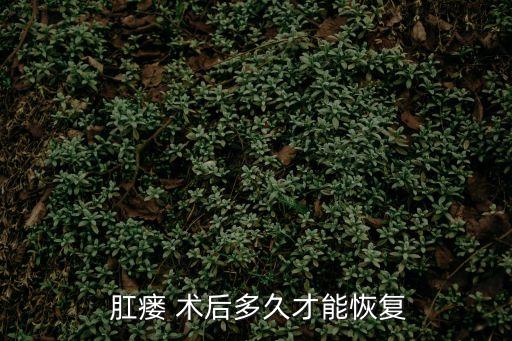 肛瘺術(shù)后,肛瘺手術(shù)后需要用肉芽填充傷口以達(dá)到愈合