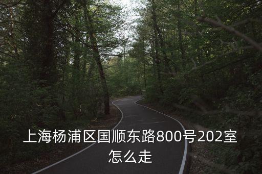 上海楊浦區國順東路800號202室怎么走
