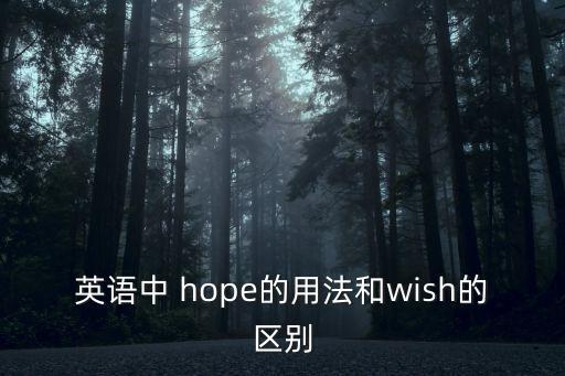 英語中 hope的用法和wish的區別