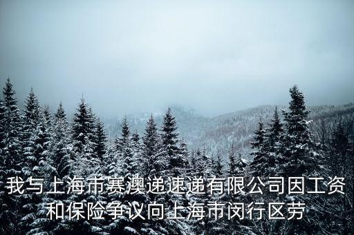 我與上海市賽澳遞速遞有限公司因工資和保險爭議向上海市閔行區勞