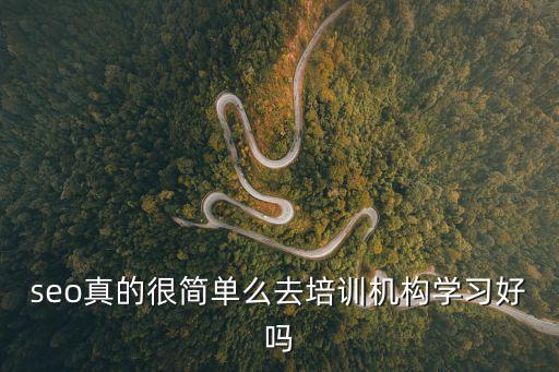 深圳seoer，seo真的很簡單么去培訓機構(gòu)學習好嗎