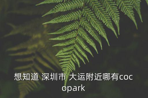 想知道 深圳市 大運附近哪有cocopark