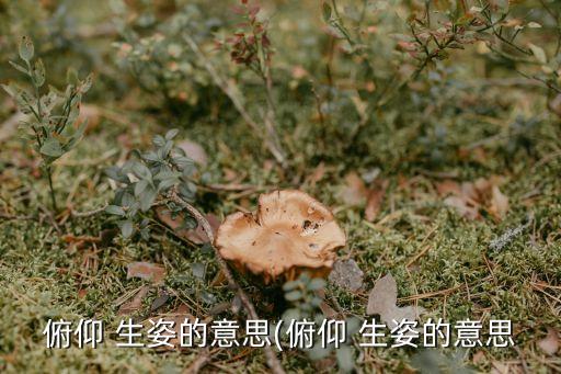 生姿,投球也要有姿態!這樣的投球有何魅力?