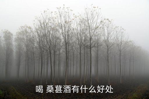 桑葚酒的功效與作用,楊梅酒的功效和作用