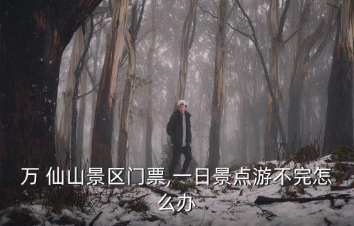 萬 仙山景區門票,一日景點游不完怎么辦