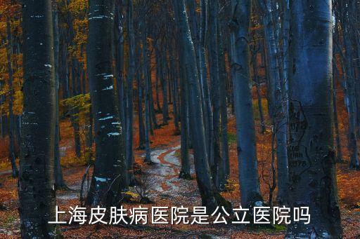 上海市皮膚病醫院是不是公立，上海市皮膚病性病醫院是公立醫院嗎