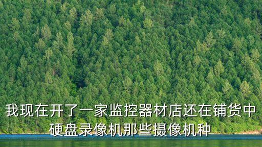深圳安聯科技，我現在開了一家監控器材店還在鋪貨中硬盤錄像機那些攝像機種