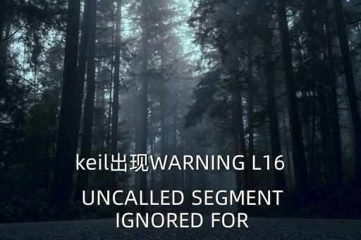 keil出現WARNING L16 UNCALLED SEGMENT IGNORED FOR