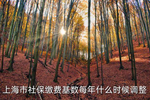 上海市社保繳費(fèi)基數(shù)每年什么時(shí)候調(diào)整