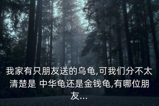 我家有只朋友送的烏龜,可我們分不太清楚是 中華龜還是金錢龜,有哪位朋友...
