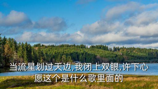 候補(bǔ)情人