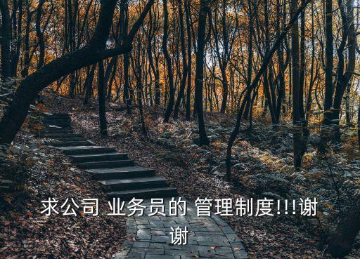 業務員管理,快消品業務員應該怎么管理?企業管理系統可查詢外出員工歷史軌跡