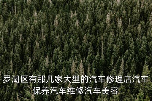羅湖區(qū)有那幾家大型的汽車修理店汽車保養(yǎng)汽車維修汽車美容