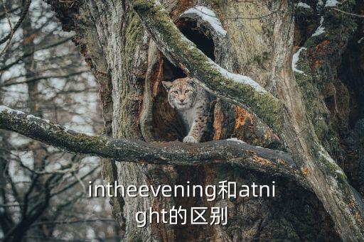 在夜晚英語